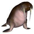 ROZMÁR