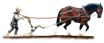 allatokkal_3.png