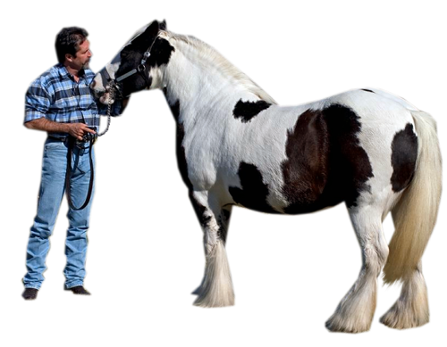 allatokkal_6.png