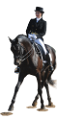 allatokkal_1