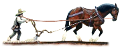 allatokkal_3
