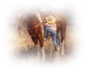 allatokkal_7