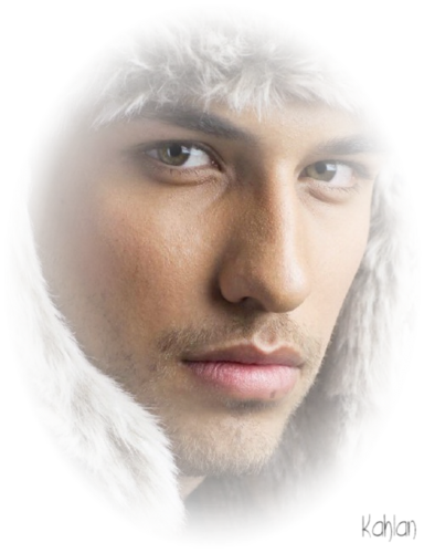 arcok_26.png