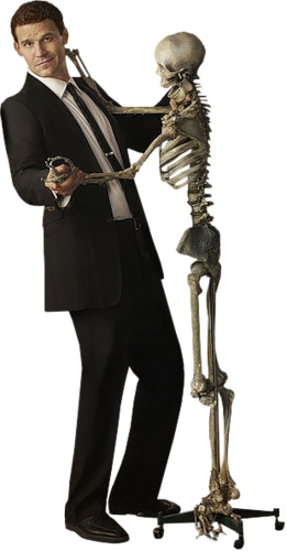 ferfi-egeszalakos_63.png