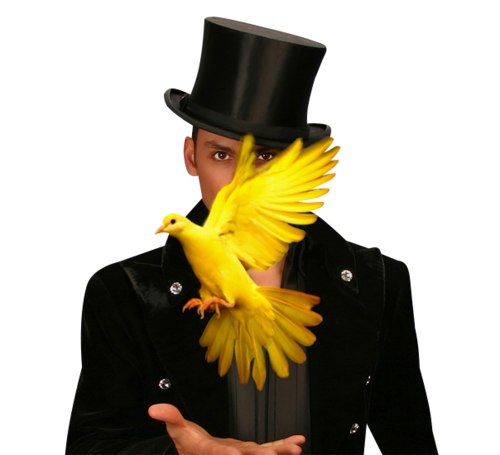 ferfi-mellkep_14.png