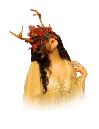 nok-osz_7.png
