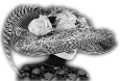 fekete_2