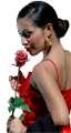 rozsa_15