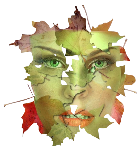 arckep_75.png