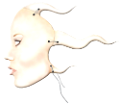 arckep_52
