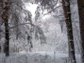 téli_képek_89