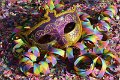 farsang_hatterkep_147