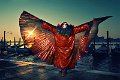 farsang_hatterkep_56