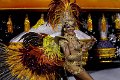farsang_hatterkep_96